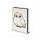 Picture of Pyramid Harry Potter - Hedwig Fluffy Premium A5 Notebook (SR72671)