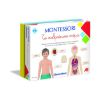 Picture of Montessori Educational Game Human Body For Ages 3-6