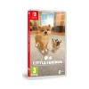 Picture of NSW Little Friends: Dogs & Cats