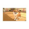 Picture of NSW Little Friends: Dogs & Cats