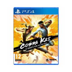 Picture of PS4 Cobra Kai: The Karate Kid Saga Continues