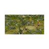 Picture of NSW Legend of Mana (Code in a Box)