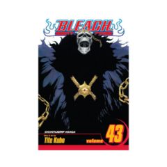 Picture of Viz Bleach Vol. 43 Paperback Manga