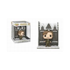 Picture of Funko Pop! Deluxe: Harry Potter Chamber of Secrets Anniversary 20th - Remus Lupin with the Shrieking Shack #156 Vinyl Figure