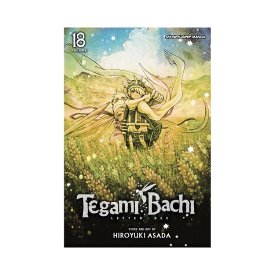 Picture of Viz Tegami Bachi GN Vol. 18 Paperback Manga