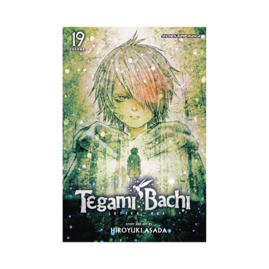 Picture of Viz Tegami Bachi GN Vol. 19 Paperback Manga