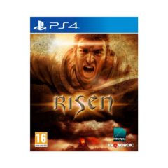 Picture of PS4 Risen