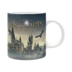 Picture of Abysse Harry Potter - Hogwarts Legacy Mug (320ml) (ABYMUGA267)