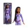 Picture of Mattel Disney: Wish Asha of Rosas - Collectible Fashion Doll (HPX23)