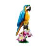 Picture of LEGO® Creator: 3in1 Exotic Parrot (31136)