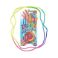 Picture of Ztringz Original Rainbow Rope For Ages 5+