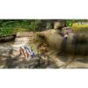 Picture of NSW Pikmin 1 + 2