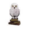 Picture of Spin Master Harry Potter: 4D Build - Hedwig 3D Puzzle  Model Kit (6069818)