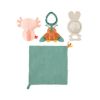 Picture of Fisher-Price® So Many Senses Gift Set (HRB17)