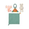 Picture of Fisher-Price® So Many Senses Gift Set (HRB17)