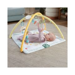 Picture of Fisher-Price® Simply Senses Newborn Gym (HRB15)