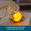 Picture of Fisher-Price®: Sensimals - Beary Soothing (HRB20)