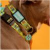 Picture of Loungefly Warner Bros: Scooby Doo - Mystery Machine Collar (L) (SBDPDC0001L)