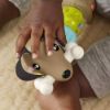 Picture of Fischer-Price Pets: Click & Spin - Activity Pup (HTW91)