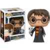 Picture of Funko Pop! Harry Potter - Harry with Hedwig #31 Vinyl Figure