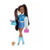 Picture of Mattel Barbie: Dream Besties - Barbie Brooklyn (HYC22)