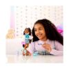 Picture of Mattel Barbie: Dream Besties - Barbie Brooklyn (HYC22)