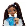 Picture of Mattel Barbie: Dream Besties - Barbie Brooklyn (HYC22)