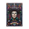 Picture of Mattel Barbie Signature: Dia De Los Muertos - Ken Doll (HRM73)