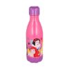 Picture of Stor: Disney Princess: Bright & Bold - Daily Plastic Bottle (560ml) (48100)