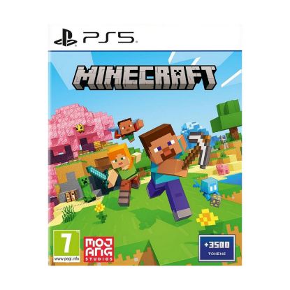 Picture of PS5 Minecraft