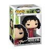 Picture of Funko Pop! Disney: Villains - Mother Gothel #1520 Vinyl Figure