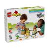 Picture of LEGO® DUPLO® Town: Interactive Adventure Train (10427)