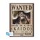 Picture of Abysse One Piece - Wanted Kaido Poster Chibi (52x38cm) (GBYDCO265)
