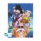 Picture of Abysse: Dragon Ball - Db/ Kame Team Chibi Poster (52X38) (ABYDCO392)