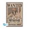 Picture of Abysse: One Piece - Wanted Ace Maxi Poster (91.5X61) (ABYDCO410)