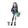 Picture of Mattel Monster High: Frankie Stein - Fashion Doll with Pet (HXH73)