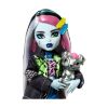 Picture of Mattel Monster High: Frankie Stein - Fashion Doll with Pet (HXH73)