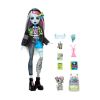 Picture of Mattel Monster High: Frankie Stein - Fashion Doll with Pet (HXH73)