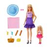 Picture of Mattel Barbie: Family & Friends - Barbie Malibu & Club Chelsea Sister PicNic Dolls (JBF43)