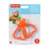 Picture of Fisher Price® - Bug Teether (JFJ97)