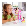 Picture of Mattel Barbie: You Can Be Anything - Teacher Doll with Brown Hair (JCR76)