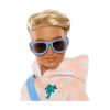 Picture of Mattel Barbie: Dream Besties - Ken Doll (JDD75)