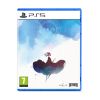 Picture of PS5 Gris