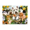 Picture of Ravensburger Puzzle: Happy Animal Buddies (300pcs) (13160)