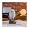 Picture of Spin Master Harry Potter: 4D Build - Hedwig 3D Puzzle  Model Kit (6069818)
