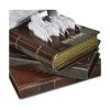 Picture of Spin Master Harry Potter: 4D Build - Hedwig 3D Puzzle  Model Kit (6069818)