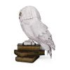 Picture of Spin Master Harry Potter: 4D Build - Hedwig 3D Puzzle  Model Kit (6069818)