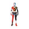 Picture of Spin Master DC Batman - Harley Quinn Action Figure (30cm) (6069101)*