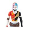 Picture of Spin Master DC Batman - Harley Quinn Action Figure (30cm) (6069101)*