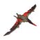 Picture of Mattel Jurassic World: Epic Evolution Chaos Theory - Wild Roar Pteranodon (JCL70)